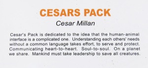 Cesars Pack