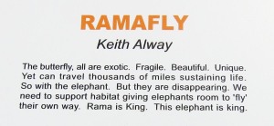 Ramafly