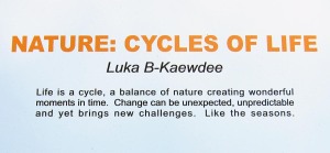 Nature: Cycles of Life